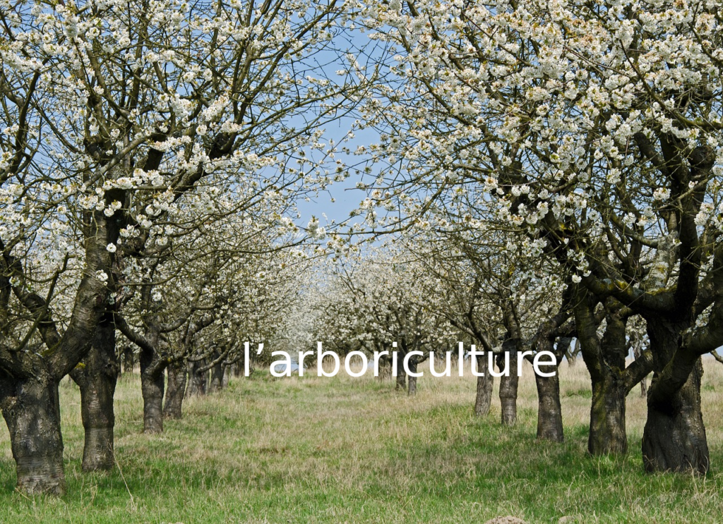 Pour l'arboriculture les produits Nat&co